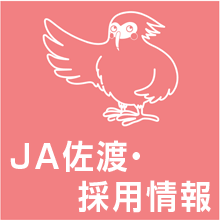 JA佐渡について・採用情報