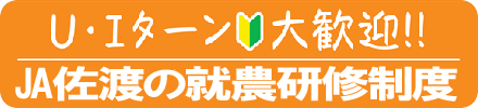 JA佐渡就農研修制度