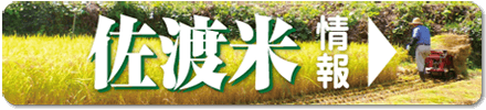 佐渡米情報