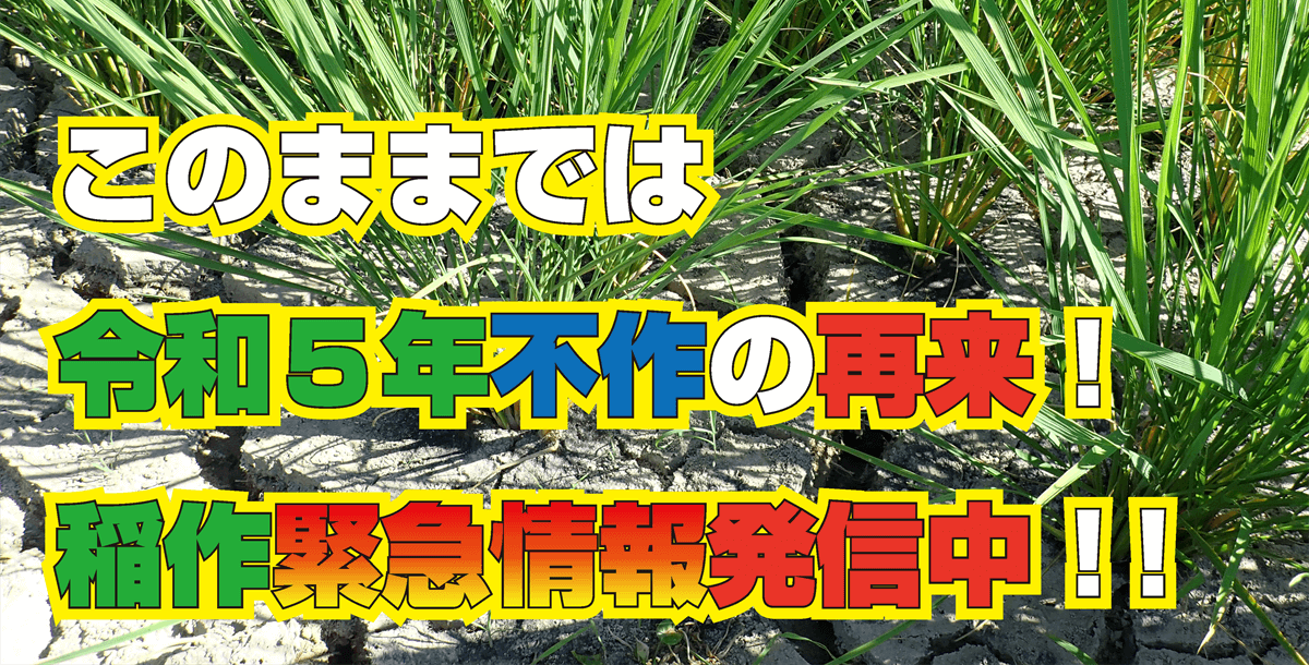 稲作緊急情報発信中！