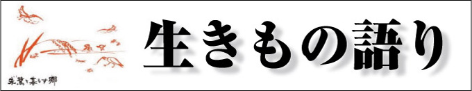 生きもの語り