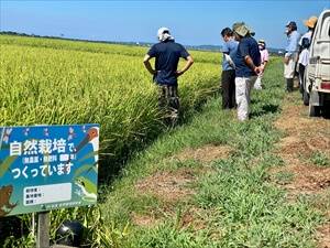 自然栽培米について