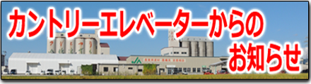 CEお知らせ